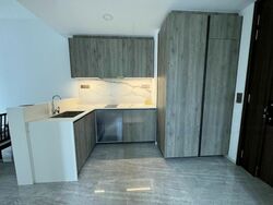 Leedon Green (D10), Condominium #497261721